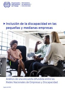 Inclusión de la discapacidad en las pequeñas y medianas empresas: Análisis de una encuesta difundida entre las Redes Nacionales de Empresas y Discapacidad