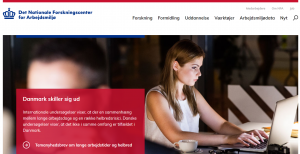 Copenhagen Psychosocial Questionnaire - COPSOQ II