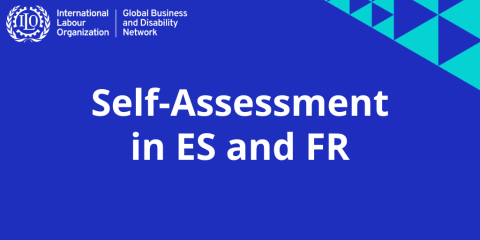 assessment-ES-and-FR.png