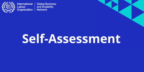 ILO GBDN Self-Assessment